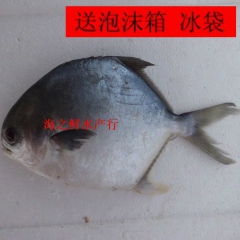 中华老字号 东阿阿胶桃花姬阿胶糕300g