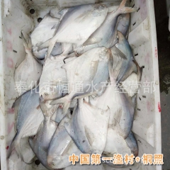 中华老字号 东阿阿胶桃花姬阿胶糕300g