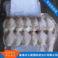 野生冷冻鱼类 燕鲳鱼 鲳鱼批发 厂家直销【图】