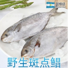 深海野生阿根廷海捕雪花鲳 鲳鱼 斑点鲳 300-500g/条...