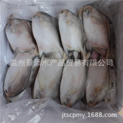 金鲳鱼 冷冻粗加工水产品 工厂直供 餐饮批发 优质海产品 特...