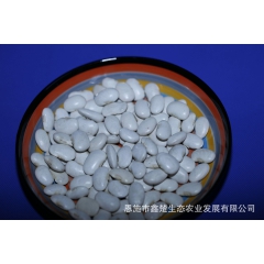 中华老字号 东阿阿胶桃花姬阿胶糕300g