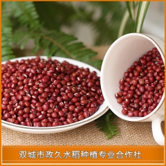 中华老字号 东阿阿胶桃花姬阿胶糕300g