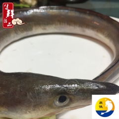 中华老字号 东阿阿胶桃花姬阿胶糕300g