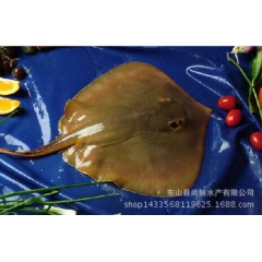 中华老字号 东阿阿胶桃花姬阿胶糕300g