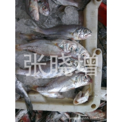 中华老字号 东阿阿胶桃花姬阿胶糕300g
