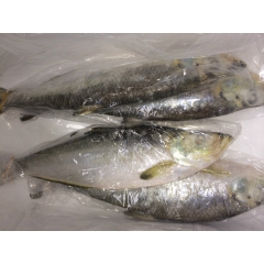 中华老字号 东阿阿胶桃花姬阿胶糕300g