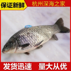 中华老字号 东阿阿胶桃花姬阿胶糕300g