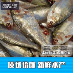 中华老字号 东阿阿胶桃花姬阿胶糕300g