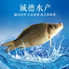 中华老字号 东阿阿胶桃花姬阿胶糕300g