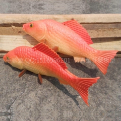 中华老字号 东阿阿胶桃花姬阿胶糕300g