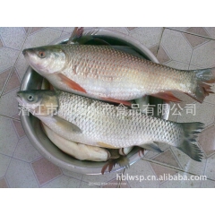 中华老字号 东阿阿胶桃花姬阿胶糕300g