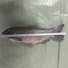中华老字号 东阿阿胶桃花姬阿胶糕300g
