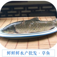 中华老字号 东阿阿胶桃花姬阿胶糕300g
