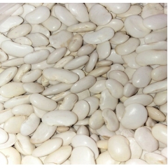 中华老字号 东阿阿胶桃花姬阿胶糕300g