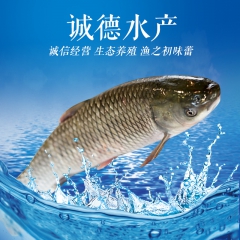 中华老字号 东阿阿胶桃花姬阿胶糕300g