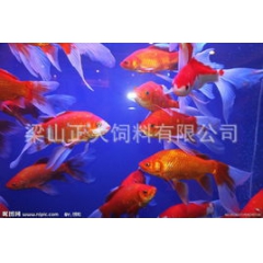 中华老字号 东阿阿胶桃花姬阿胶糕300g