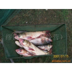 中华老字号 东阿阿胶桃花姬阿胶糕300g