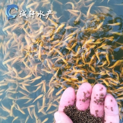 中华老字号 东阿阿胶桃花姬阿胶糕300g