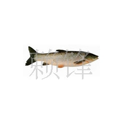 中华老字号 东阿阿胶桃花姬阿胶糕300g