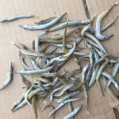中华老字号 东阿阿胶桃花姬阿胶糕300g