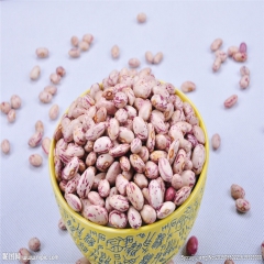 中华老字号 东阿阿胶桃花姬阿胶糕300g