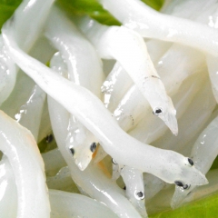 中华老字号 东阿阿胶桃花姬阿胶糕300g