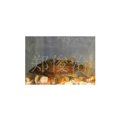 中华老字号 东阿阿胶桃花姬阿胶糕300g