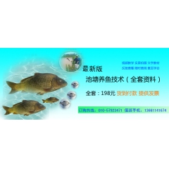 中华老字号 东阿阿胶桃花姬阿胶糕300g