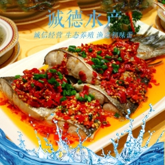 中华老字号 东阿阿胶桃花姬阿胶糕300g