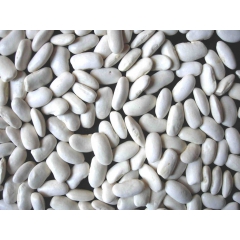 中华老字号 东阿阿胶桃花姬阿胶糕300g