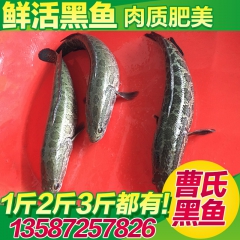中华老字号 东阿阿胶桃花姬阿胶糕300g