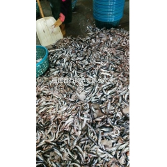 中华老字号 东阿阿胶桃花姬阿胶糕300g