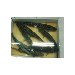 中华老字号 东阿阿胶桃花姬阿胶糕300g
