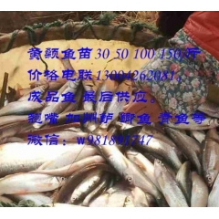 中华老字号 东阿阿胶桃花姬阿胶糕300g