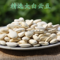 中华老字号 东阿阿胶桃花姬阿胶糕300g