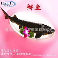 中华老字号 东阿阿胶桃花姬阿胶糕300g