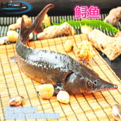 中华老字号 东阿阿胶桃花姬阿胶糕300g