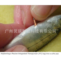 中华老字号 东阿阿胶桃花姬阿胶糕300g