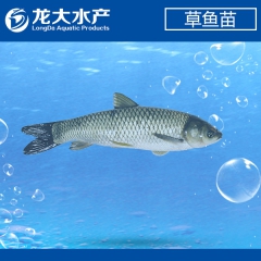 中华老字号 东阿阿胶桃花姬阿胶糕300g