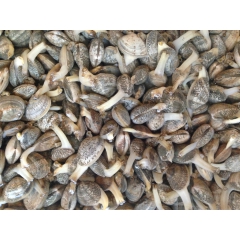 中华老字号 东阿阿胶桃花姬阿胶糕300g