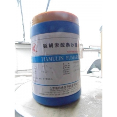 中华老字号 东阿阿胶桃花姬阿胶糕300g