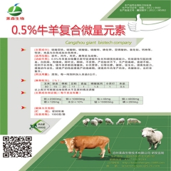 中华老字号 东阿阿胶桃花姬阿胶糕300g