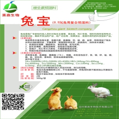 中华老字号 东阿阿胶桃花姬阿胶糕300g