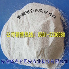 中华老字号 东阿阿胶桃花姬阿胶糕300g