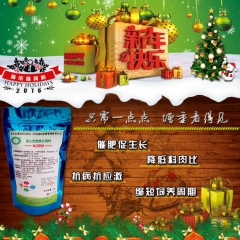 中华老字号 东阿阿胶桃花姬阿胶糕300g