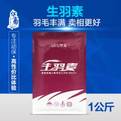 中华老字号 东阿阿胶桃花姬阿胶糕300g