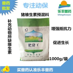 中华老字号 东阿阿胶桃花姬阿胶糕300g