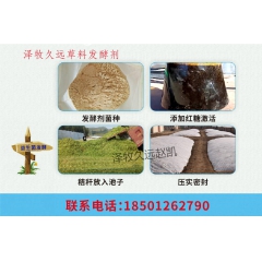 中华老字号 东阿阿胶桃花姬阿胶糕300g