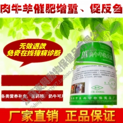 中华老字号 东阿阿胶桃花姬阿胶糕300g